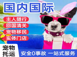 梅州梅县空运国际宠物托运 【国